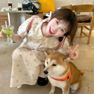 开始跳舞吧第三季